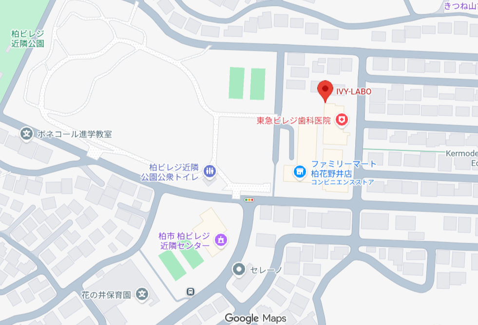 地図（印刷用）